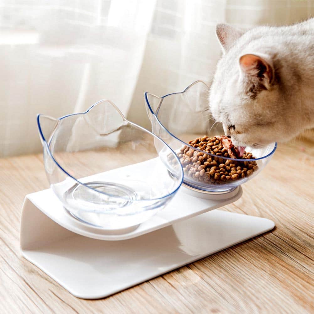 ANTIVOMITING ORTHOPEDIC CAT BOWL (Double) Molooco Shop