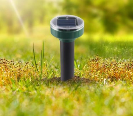 EcoSolar Garden Protector