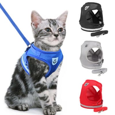 Cat Harness and Leash Set