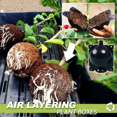 Air Layering Plant Boxes(3PCS)