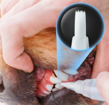 Pets Teeth Cleaning Pen
