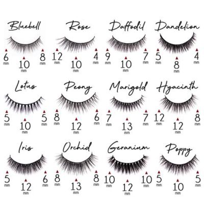 Glue-Free Best False Eyelashes