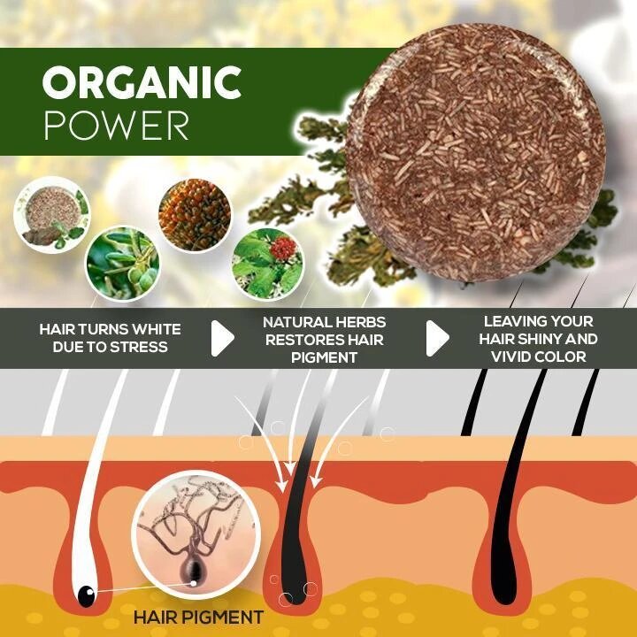 Organic Darkening Shampoo Bar - Image 5