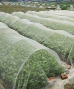 Barrier Pest Control