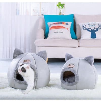 Foldable and Removable Cat Bed