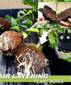 Air Layering Plant Boxes 3PCS
