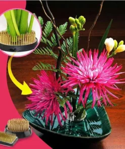 Kenzans Flower Arranging Holder