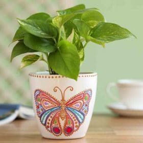 Flower Pot Mandala Dotting Set