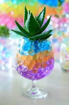 Biodegradable Crystal Soil - Water Retaining Hydrogel Pearls (1000 PCS)