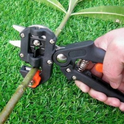 Professional Garden Grafting Tool