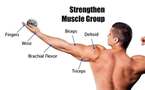 SpinPro Gyro Wrist Training Handball