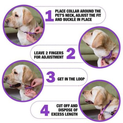 Fedciory Pheromones Calming Collar