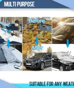 ReGrowth™ Miracle Ginger Spray