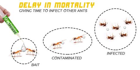 Dominol Anti-Ant Gel