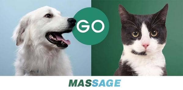 Hirundo Pet Grooming Gloves (1 pair)