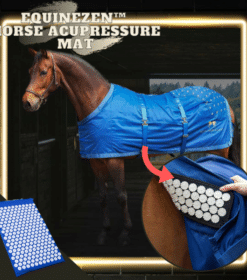 EquineZen Horse Acupressure Mat