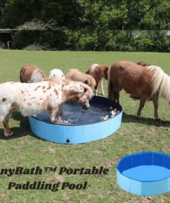 PonyBath Portable Paddling Pool