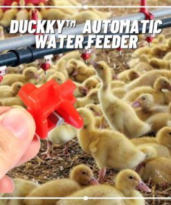 Automatic Water Feeder