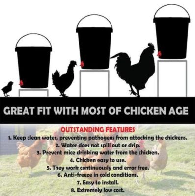 Duckky Automatic Water Feeder (10PCS)