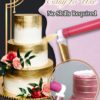 Cake Decorating Airbrushing Kit