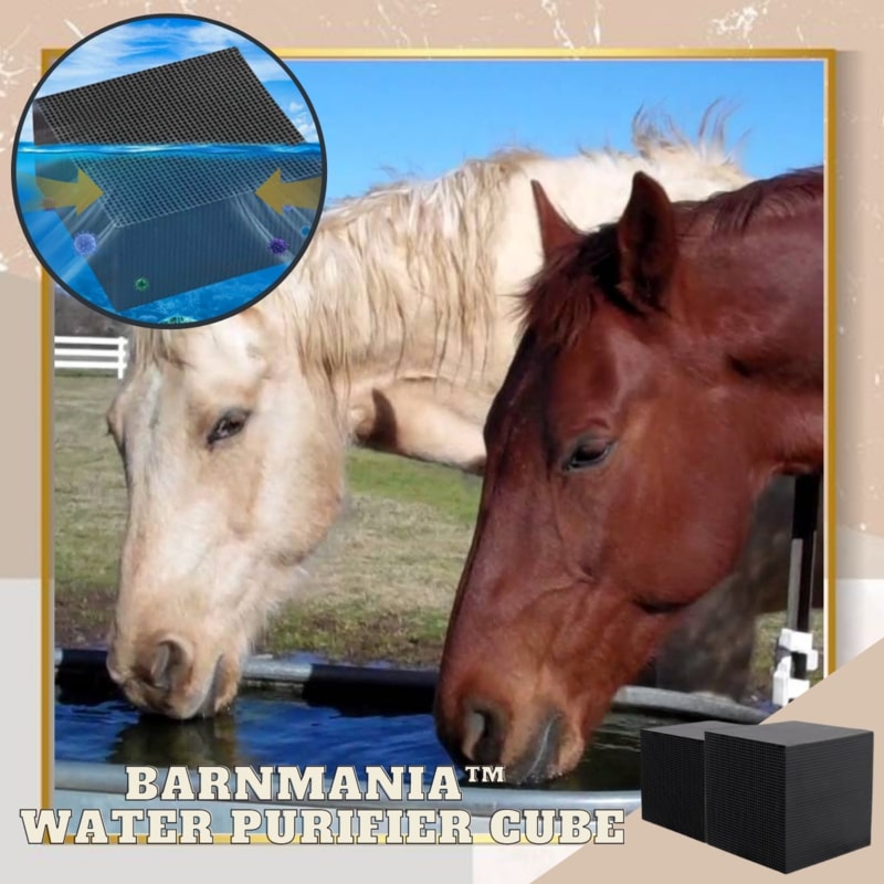 BarnMania Water Purifier Cube Buy Today Get 55 Discount