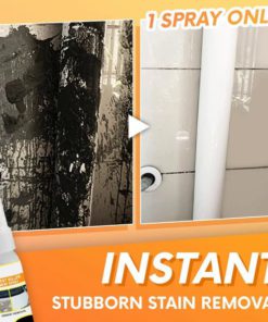 EasyOff Stain & Cement Remover Spray