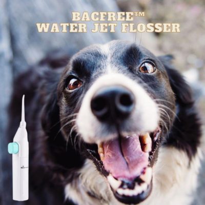 BacFree Water Jet Flosser,dental waterpik,dental water flosser,best waterpik,oral irrigator water flosser