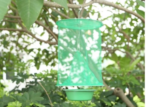 Hanging Fly Trap,outdoor fly trap,rescue fly trap,best fly trap,fly trap