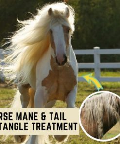 Horse Mane & Tail Detangle Treatment
