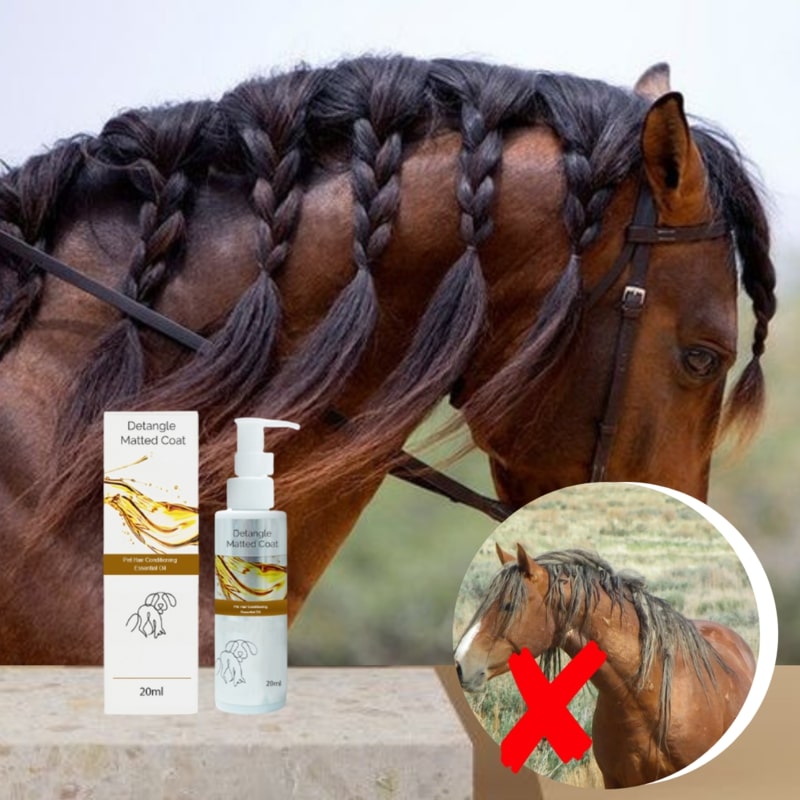 Horse Mane & Tail Detangle Treatment Online Low Prices MOLOOCO