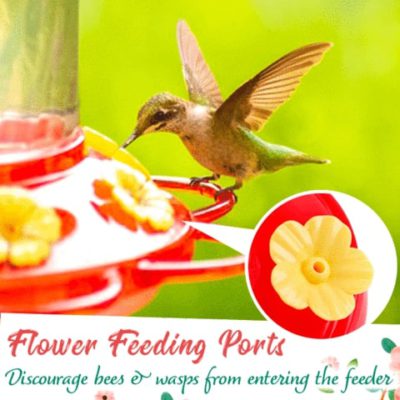 Hummingbird Feeder,humming bird feeder,glass hummingbird feeders,hummingbird feeders for sale,best hummingbird feeder