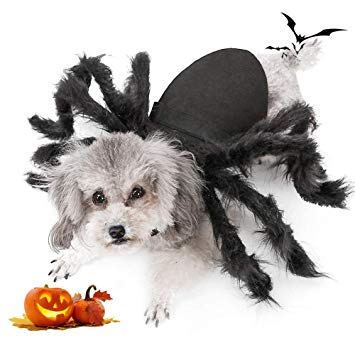 Halloween Spider Costume For Dogs,Halloween Spider Costume,Spider Costume For Dogs,Costume For Dogs,Spider Costume