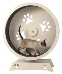 Cat Silent Treadmill