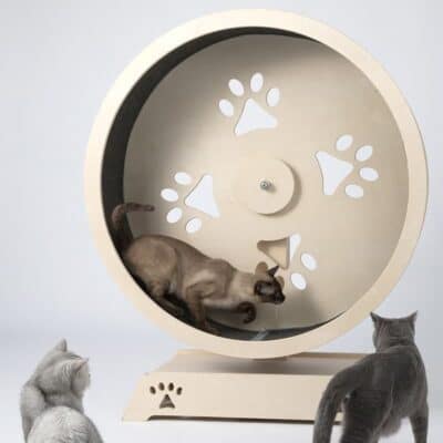 Cat Silent Treadmill