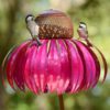 Coneflower Hummingbird Feeder
