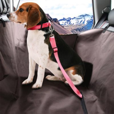 Universal Pet Seatbelt,Dog safety belt,pet seatbelt,360 degree full rotatable buckle,universal seatbelt