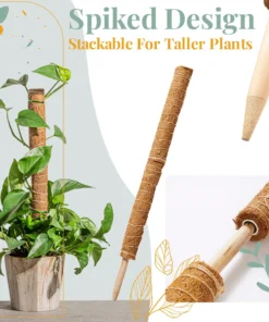 Stackable Plant Support