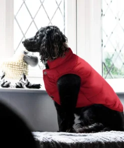 Warm Pet Jacket,Pet Jacket