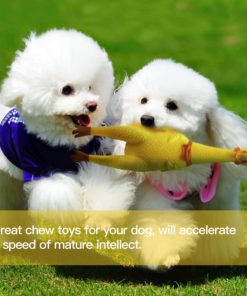 Chicken Toy,Squeaky Toy,Chicken Squeaky Toy,Dog Squeak Chicken Toy