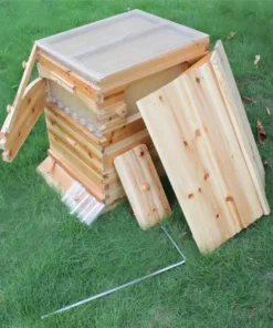 Honey Sweet,Honey Sweet Hive,Sweet Hive,honey