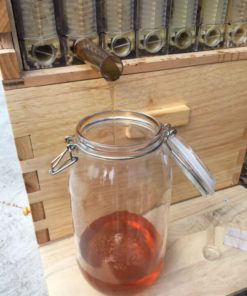 Honey Sweet,Honey Sweet Hive,Sweet Hive,honey