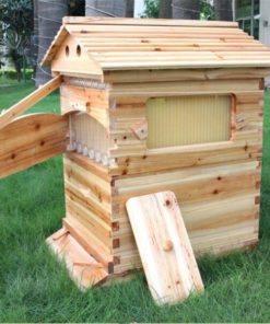 Honey Sweet,Honey Sweet Hive,Sweet Hive,honey