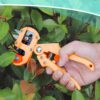 GraftMaster Easy Grafting Clipper