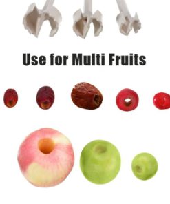 Fruit Core,Remover Set,fruits and vegetables,Fruit,Remover