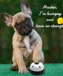 Dinner Toy,Pet Called Dinner Toy,Pet Called Dinner,Toy