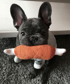 Chicken Plush Toy,Plush Toy,chicken plush