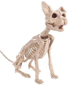 Animated Two Headed Skeleton Dog,Skeleton Dog,Animated Two Headed,Two Headed Skeleton Dog,Two Headed Skeleton