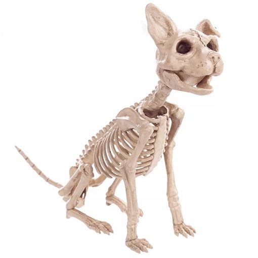 Animasiya edilmiş iki başlı skelet iti, skelet iti, cizgi iki başlı, iki başlı skelet iti, iki başlı skelet