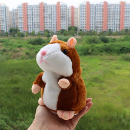 Ngawangkong Hamster, Hamster. Obrolan Hamster