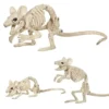 Animated Two Headed Skeleton Dog,Skeleton Dog,Animated Two Headed,Two Headed Skeleton Dog,Two Headed Skeleton